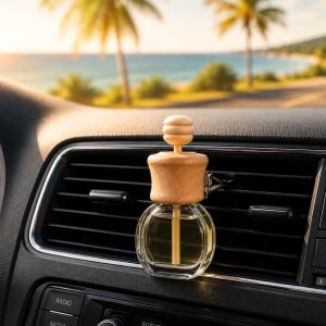 Diffuseur voiture clips